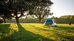 <b>要求对AI恢复中的贸易推广消息进行明白</b>